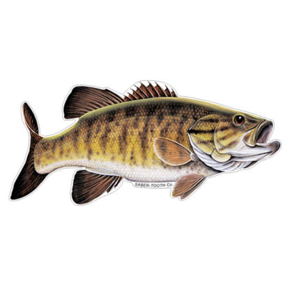 STC Fish Decals