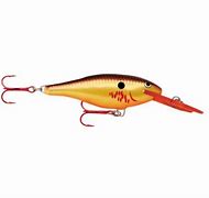Rapala Shad Rap 05