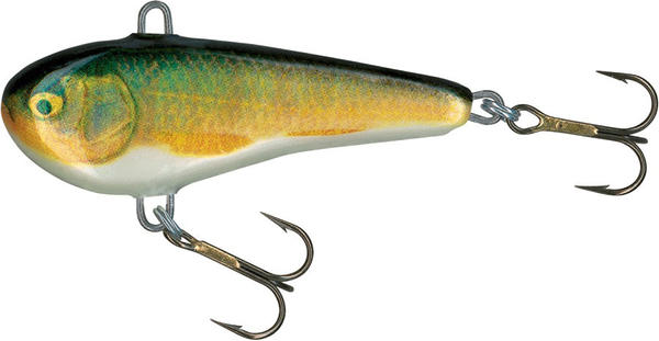 Salmo Chubby Darter