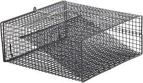 Frabill Flat Bottom Crawfish Trap