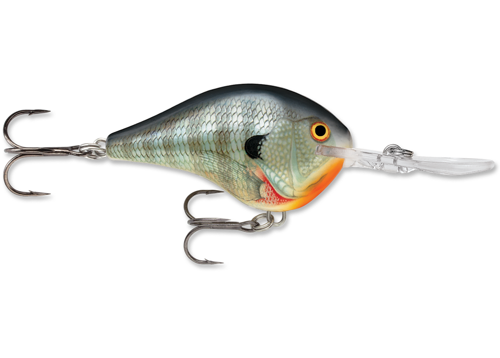 Rapala DT (Dives-To) CrankBait – Dakota Angler