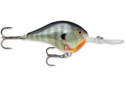 Rapala DT (Dives-To) CrankBait