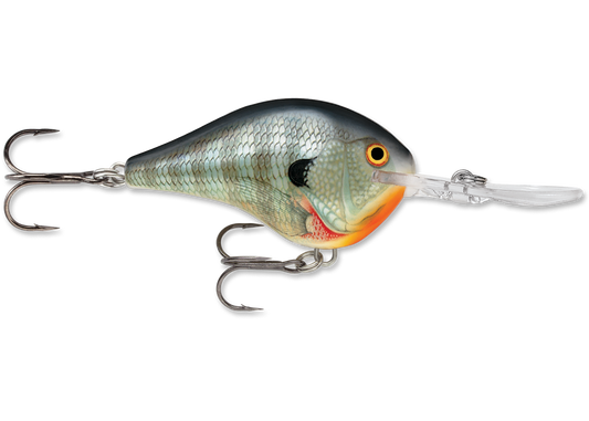 Rapala DT (Dives-To) CrankBait