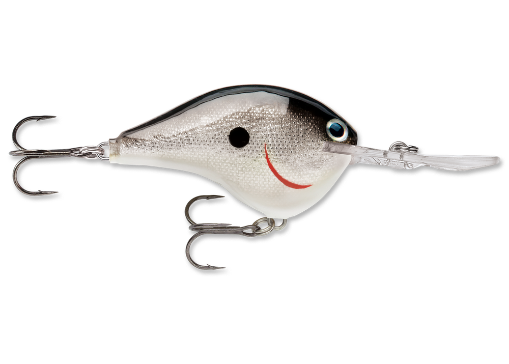 Rapala DT (Dives-To) CrankBait