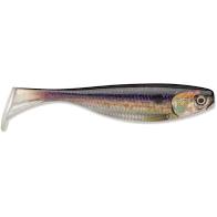 Storm Largo Shad-Live Minnow