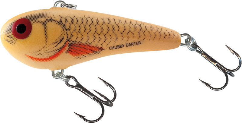 Salmo Chubby Darter