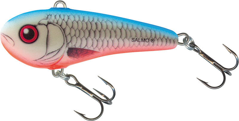 Salmo Chubby Darter