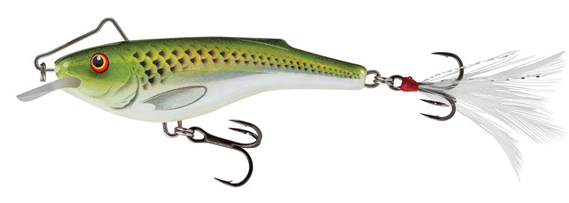 Salmo Rail Shad