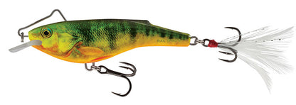 Salmo Rail Shad