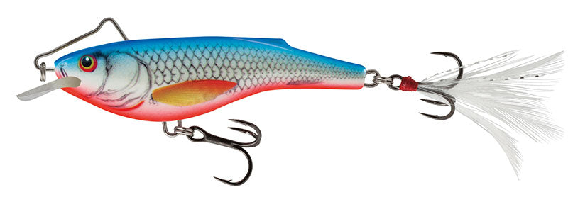 Salmo Rail Shad