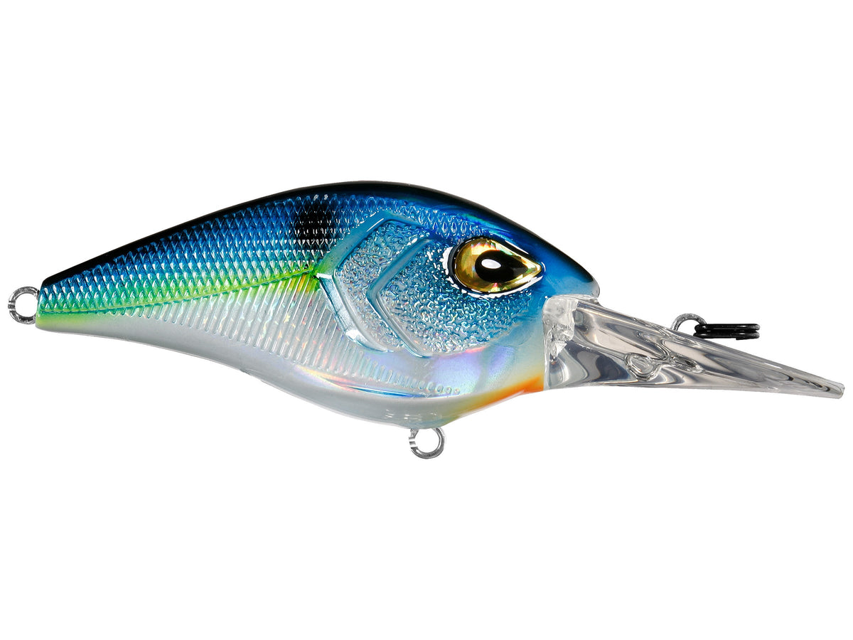 1PCS Minnow Fishing Lure 11CM/13.7G Affondamento 1PCS Minnow Fishing Lure 11CM/13.7G Affondamento